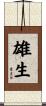 雄生 Scroll