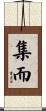集而 Scroll