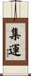 集運 Scroll