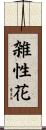 雑性花 Scroll
