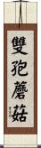 雙孢蘑菇 Scroll