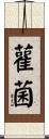 雚菌 Scroll