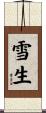 雪生 Scroll
