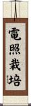 電照栽培 Scroll