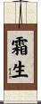 霜生 Scroll