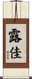 Rojaa Scroll