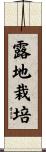 露地栽培 Scroll