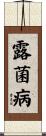 露菌病 Scroll
