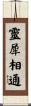 靈犀相通 Scroll