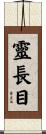 靈長目 Scroll
