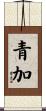 青加 Scroll