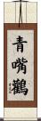 青嘴鸛 Scroll