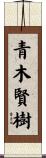 青木賢樹 Scroll