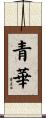 青華 Scroll