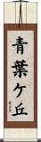 青葉ケ丘 Scroll