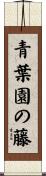 青葉園の藤 Scroll