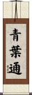 青葉通 Scroll