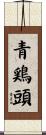 青鶏頭 Scroll
