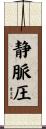 静脈圧 Scroll