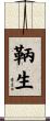 鞆生 Scroll