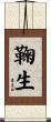 鞠生 Scroll