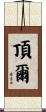 頂爾 Scroll