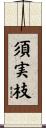 須実枝 Scroll