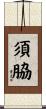 須脇 Scroll