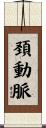 頚動脈 Scroll