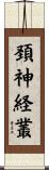 頚神経叢 Scroll