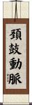 頚鼓動脈 Scroll