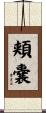 頬嚢 Scroll
