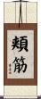 頬筋 Scroll