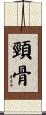 頸骨 Scroll