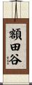 額田谷 Scroll