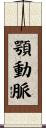 顎動脈 Scroll