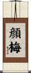 顔梅 Scroll