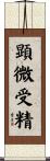 顕微受精 Scroll