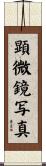 顕微鏡写真 Scroll