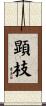 顕枝 Scroll