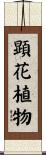 顕花植物 Scroll