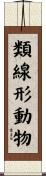 類線形動物 Scroll