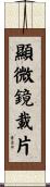 顯微鏡載片 Scroll