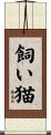 飼い猫 Scroll