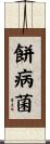 餅病菌 Scroll