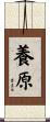養原 Scroll