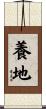 養地 Scroll