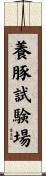 養豚試験場 Scroll