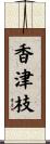 香津枝 Scroll