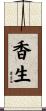 香生 Scroll